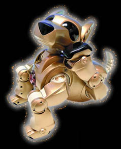 �y�x늄���ߐ�ِ��