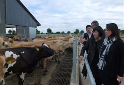 ��ţ��Դ���I(y��)���m��������������(d��ng)��