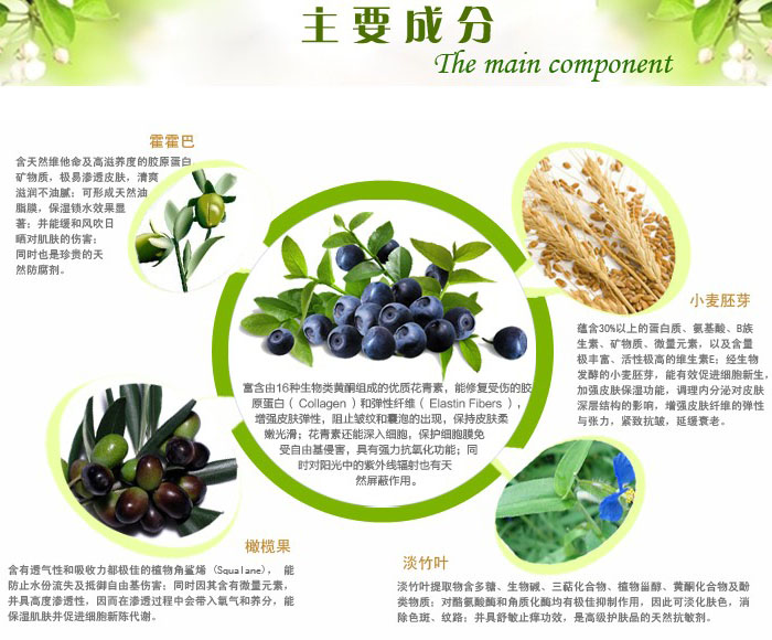 藍莓妊妊娠紋按摩霜 120g