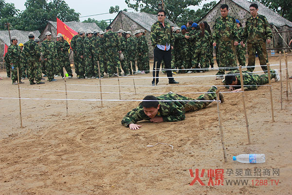 2013������չ��Ӗ