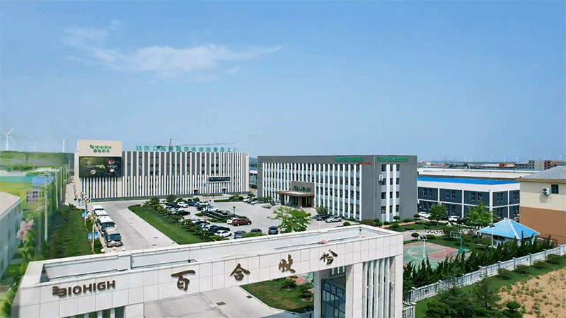 ȫٺϿG܊м8ܹSȫҕ