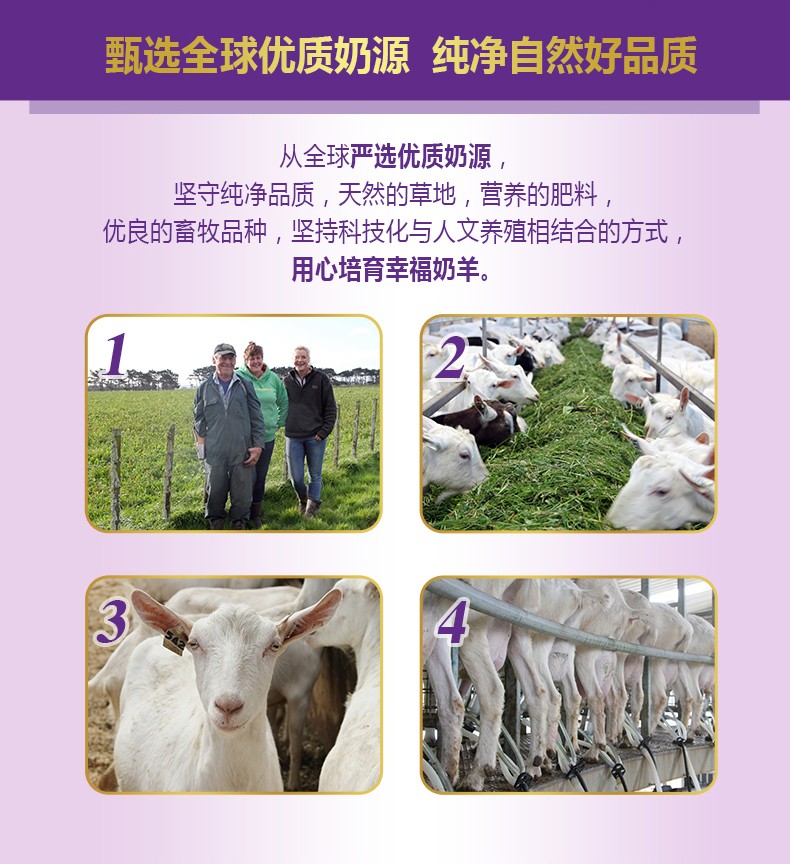  �����׃��䷽���̷ۣ�12-36���g��3�Σ�_03