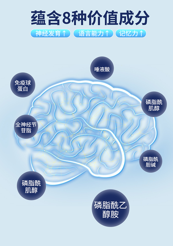 圣諾熊復(fù)合蛋白固體飲料詳情圖 (7).jpg
