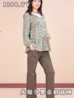 ��ܰ��������-B208116