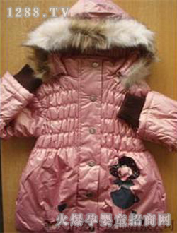 �ƿ��������11342148